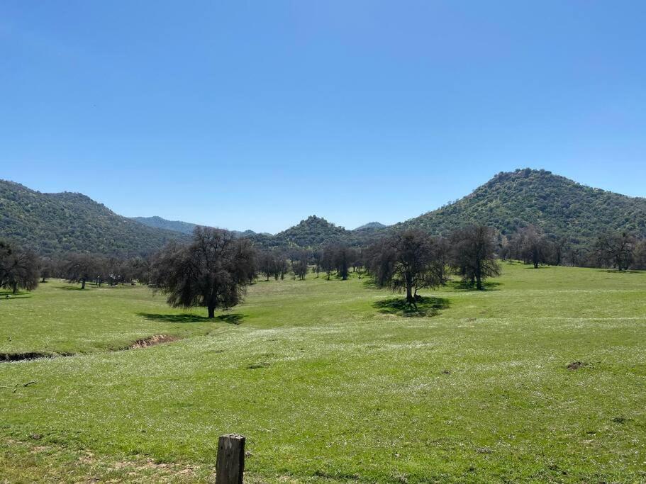Waxberry Getaway Sequoia/Kings Canyon National Pks Yokuts Valley  Exterior photo